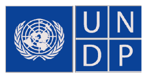UNDP logo